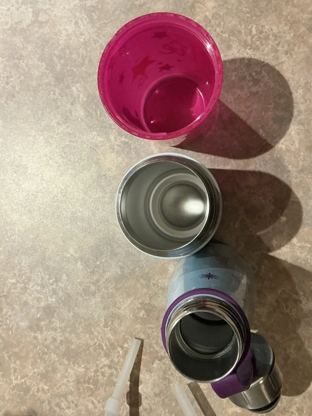 Frozen Elsa Anna Insulated Water Bottle - Pink Owl Sipper Combo